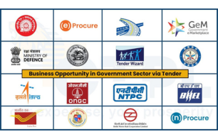 Business Opportunity in Government Sector via Tendering