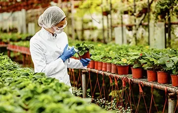 best tender website in india